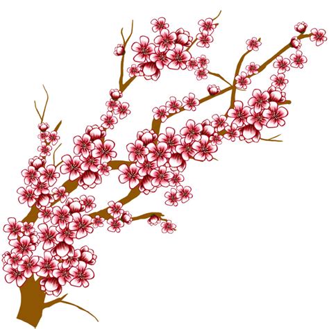 flowering tree clipart|cherry blossom tree clip art.